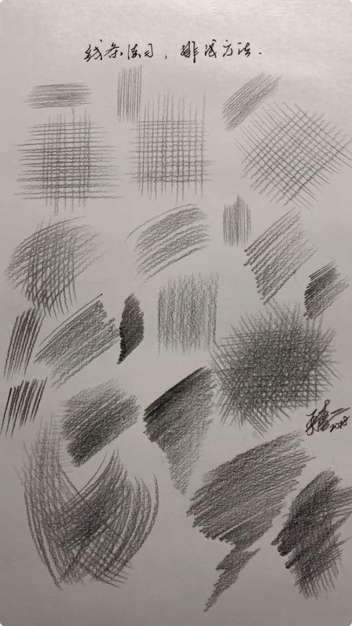 素描线条视频,跟随视频学习线条运用与表现
