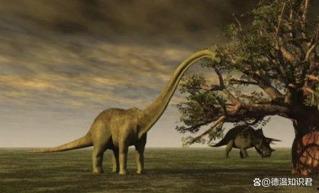 为什么恐龙会灭绝视频,探寻地球巨变背后的真相
