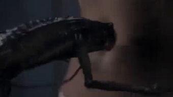 入腹的视频,揭秘神秘腹中世界