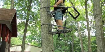 爬树神器视频,颠覆传统攀爬方式的创新之作