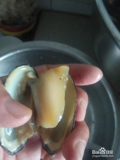 河蚌的做法视频,从采苗到收获的精彩瞬间