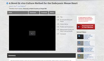 jove视频下载,轻松获取精彩内容