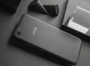 oppo与vivo打架视频,一场手机品牌的巅峰之战