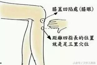 艾灸暖宫视频,传统养生与现代生活的完美融合