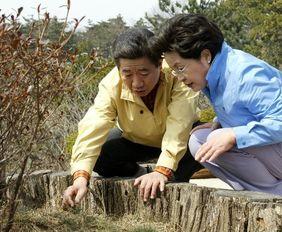 柳花视频在线观看,在线观看，尽享视觉盛宴