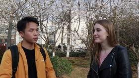 外国人江南视频,外国人眼中的中国水乡魅力