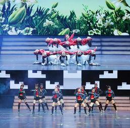 兰花草的舞蹈视频,探寻舞蹈中的诗意与风情