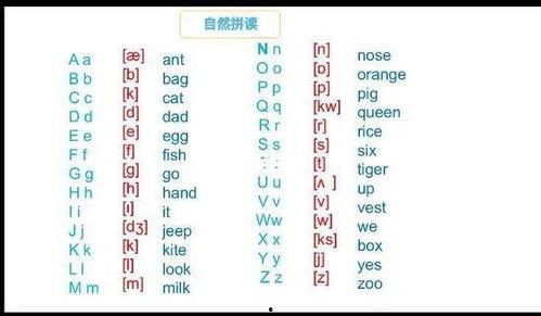 法语26个字母发音视频,法语26字母发音视频精华概述
