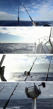 海洋钓鱼视频,捕捉深海魅力的瞬间