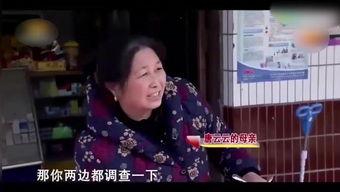 寻情记2017年全集视频,穿越时空的爱恋，揭秘情感密码